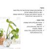 זר פיקטוס כסוף באגרטל LAB