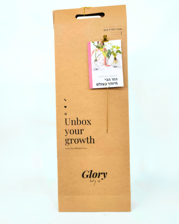 אריזת גלורי באגרטל שטוח