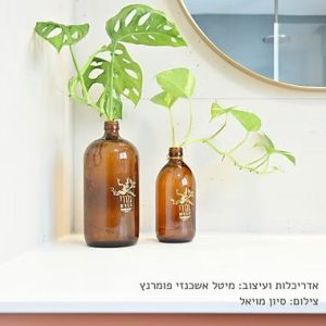 ייחור והשרשה של פוטוס במים בקלות