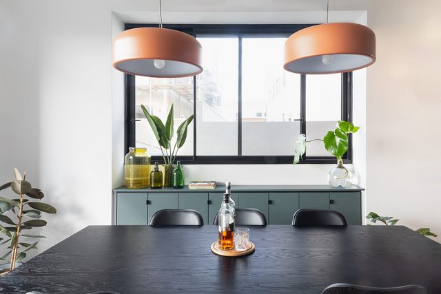 צמחים מיוחדים למשרדים