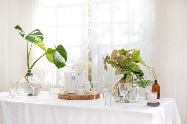 אגרטל זכוכית שקוף