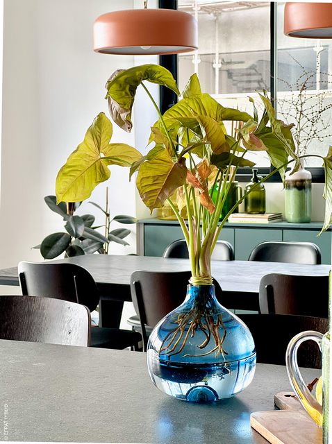 מתנת פרידה עם משמעות עמוקה